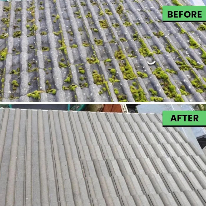 Roof Cleaning Painting Services Galway Sligo Westmeath